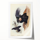 Historical Romanticism Canvas: Ring-necked Pheasant Artwork
