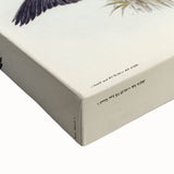 Historical Romanticism Canvas: Ring-necked Pheasant Artwork