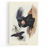 Historical Romanticism Canvas: Ring-necked Pheasant Artwork