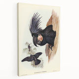 Historical Romanticism Canvas: Ring-necked Pheasant Artwork