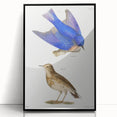 Vintage Realism Art Print of Bluebird and Titlark Birds Illustration