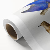 Vintage Realism Art Print of Bluebird and Titlark Birds Illustration