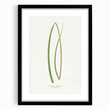 Famous Romantic Era Art: Sailing on the Humber