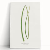 Famous Romantic Era Art: Sailing on the Humber