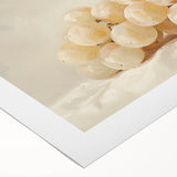 Art deco poster featuring an assortment of vibrant fruits on a rolled canvas, suitable for dining room decor.