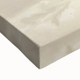 Large art of a landscape painting on stretched canvas featuring a close-up of fruits in black and white.