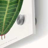 Historical Romanticism Canvas: Henri IV and Marie de’ Medici by Delacroix