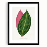 Historical Romanticism Canvas: Henri IV and Marie de’ Medici by Delacroix