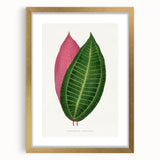 Historical Romanticism Canvas: Henri IV and Marie de’ Medici by Delacroix