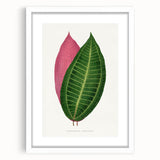 Historical Romanticism Canvas: Henri IV and Marie de’ Medici by Delacroix