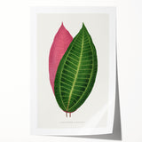 Historical Romanticism Canvas: Henri IV and Marie de’ Medici by Delacroix