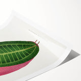 Historical Romanticism Canvas: Henri IV and Marie de’ Medici by Delacroix