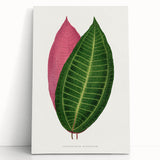 Historical Romanticism Canvas: Henri IV and Marie de’ Medici by Delacroix