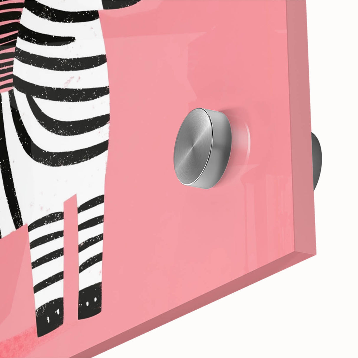 Adorable Zebra Wall Art - Girls Room & Nursery Animal Decor