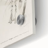 Classic Romantic Paintings: Farmyard Fowls by John James Audubon