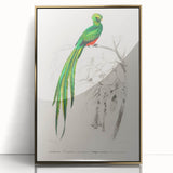 Classic Romantic Paintings: Farmyard Fowls by John James Audubon