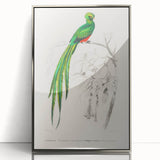 Classic Romantic Paintings: Farmyard Fowls by John James Audubon