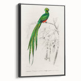 Classic Romantic Paintings: Farmyard Fowls by John James Audubon