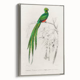 Classic Romantic Paintings: Farmyard Fowls by John James Audubon