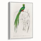 Classic Romantic Paintings: Farmyard Fowls by John James Audubon