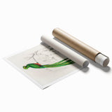 Classic Romantic Paintings: Farmyard Fowls by John James Audubon