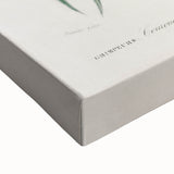 Classic Romantic Paintings: Farmyard Fowls by John James Audubon