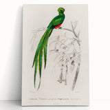 Classic Romantic Paintings: Farmyard Fowls by John James Audubon