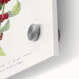 Famous Romantic Era Art: The Day Dream by Dante Gabriel Rossetti