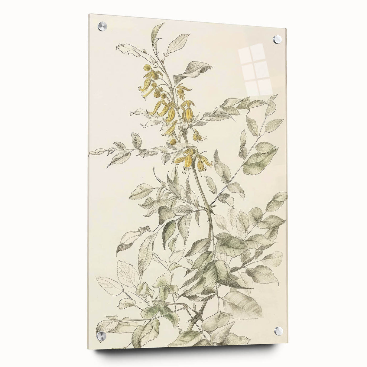 Abstract floral acrylic glass artwork displayed in a side view, featuring vibrant colors and intricate details, secured with decorative pins for added visual appeal.