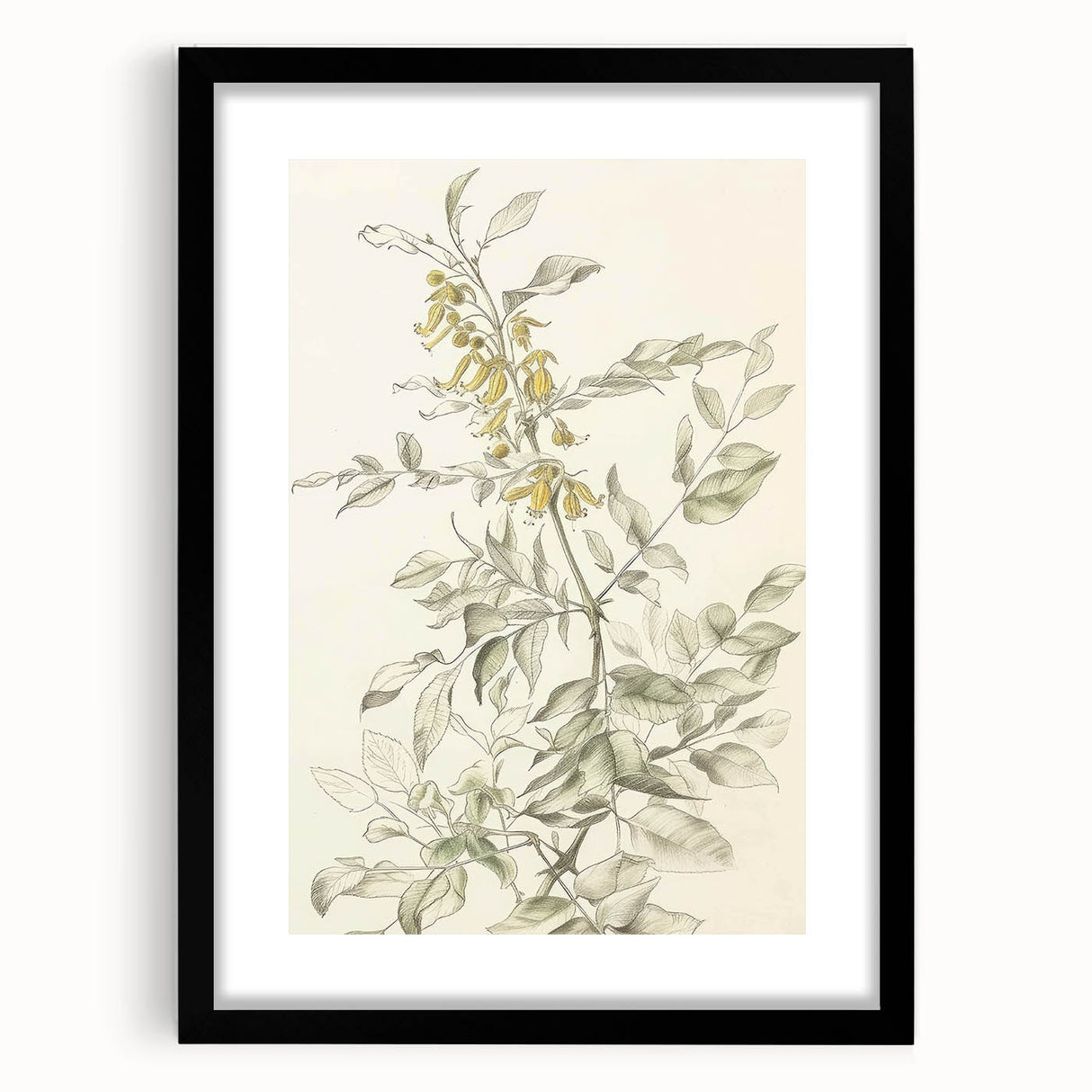 Abstract floral frame with a black matte finish showcasing vibrant colors and intricate design, perfect for modern home decor or art displays.