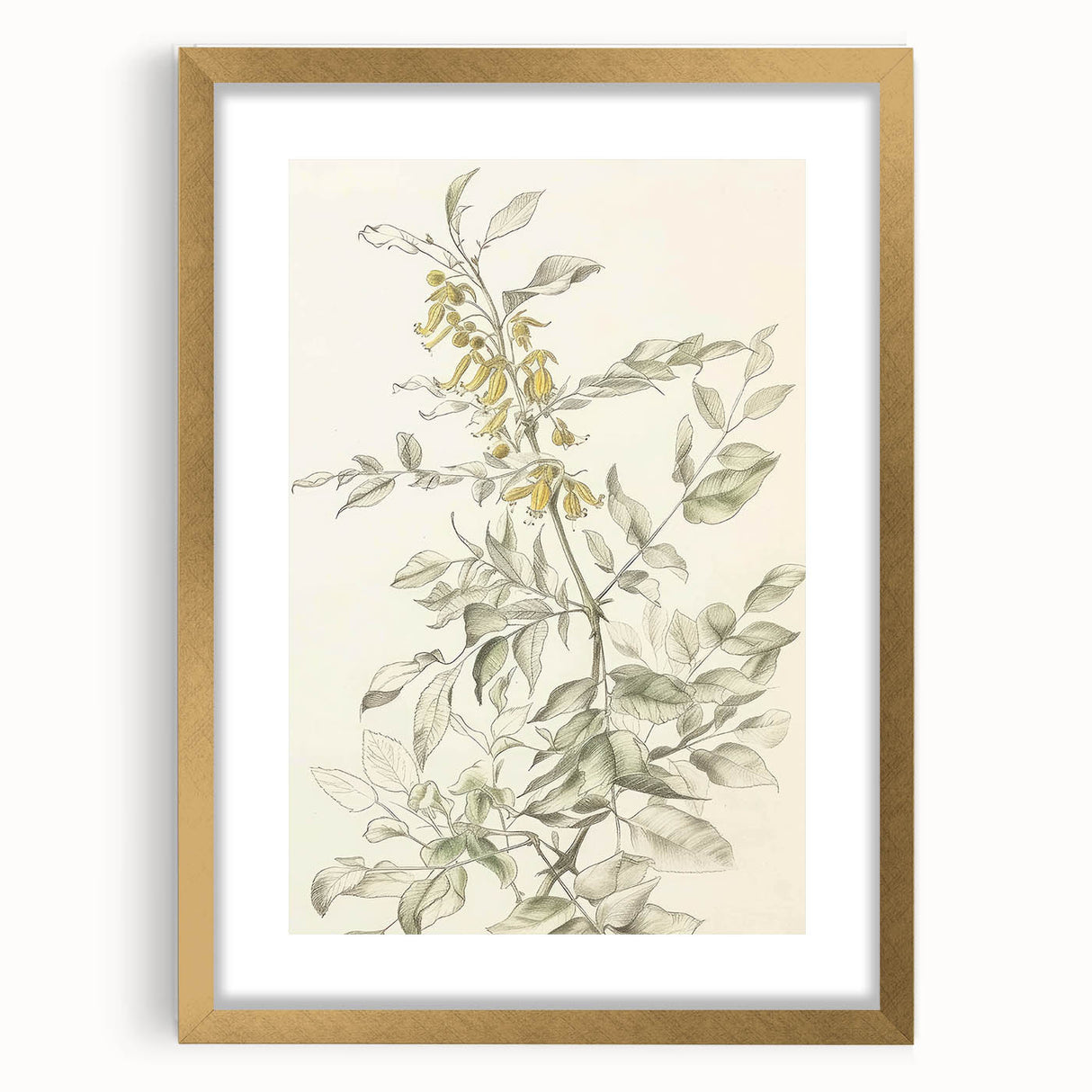 Abstract floral frame artwork with a gold mat, showcasing vibrant colors and intricate designs, perfect for home decor or office embellishment.