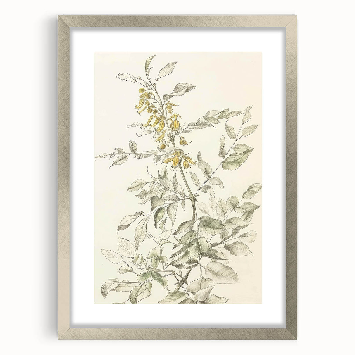Abstract floral design framed in silver with a mat, showcasing vibrant colors and intricate patterns, ideal for modern decor and art enthusiasts.