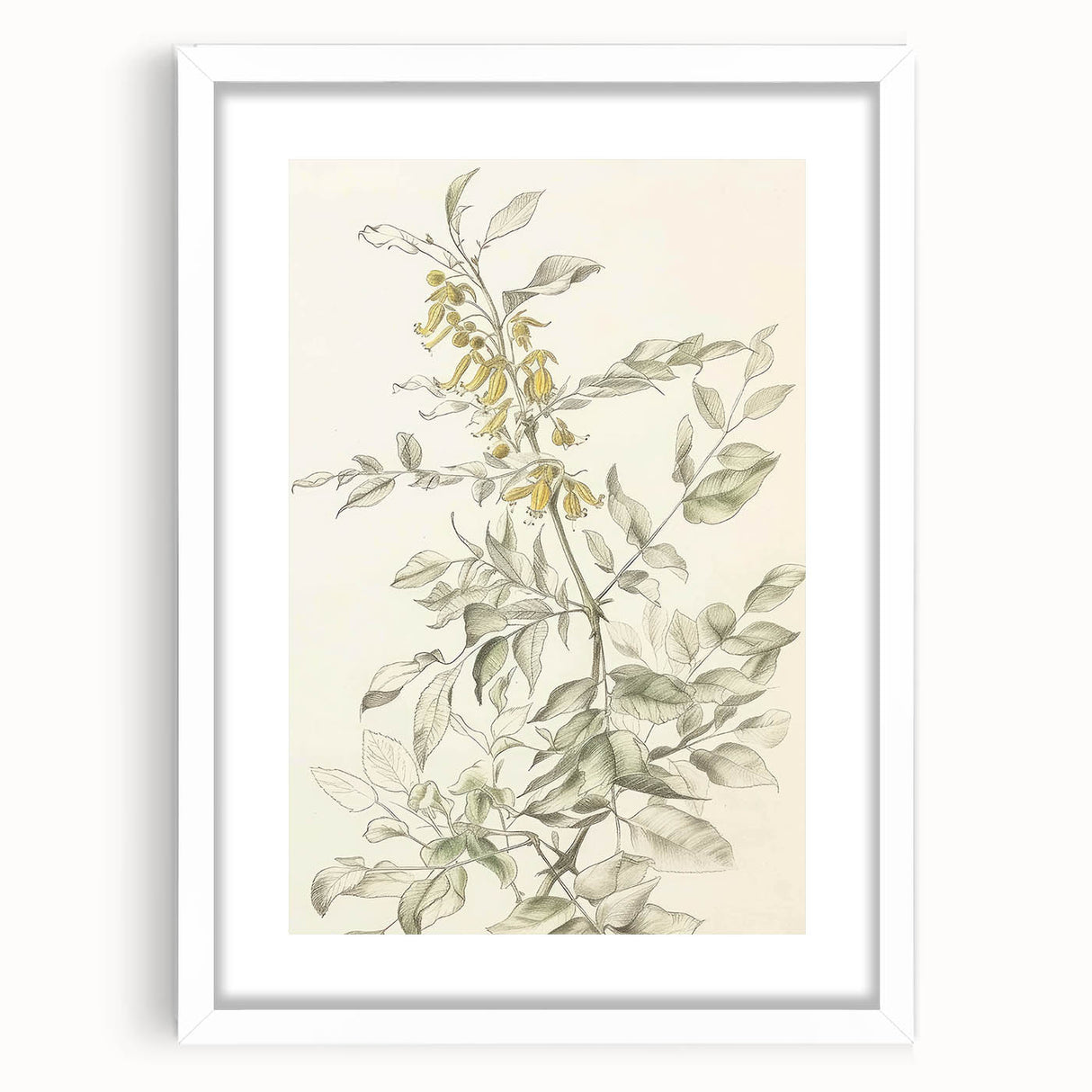 Abstract floral art print framed in white matting, showcasing vibrant colors and intricate designs, perfect for home decor or artistic enhancement.