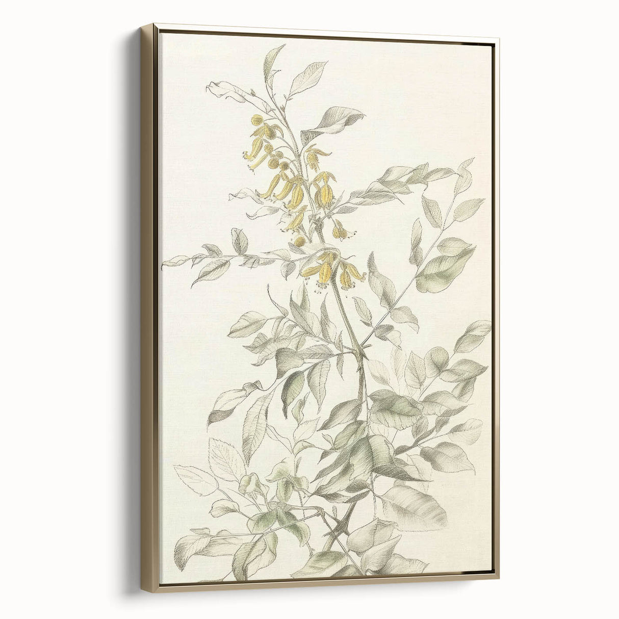 Framed canvas artwork showcasing elegant abstract floral designs in vibrant colors with a luxurious gold frame, perfect for modern home décor.