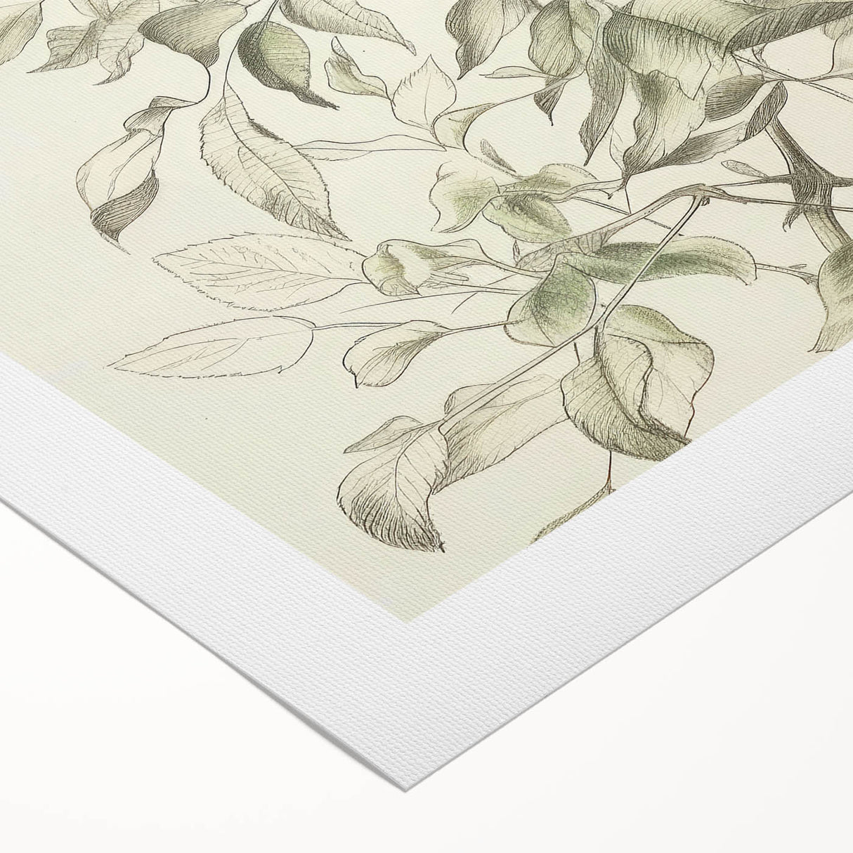 Abstract floral design on rolled canvas, showcasing vibrant colors and intricate patterns, elegantly packaged in a protective cardboard tube for easy display.