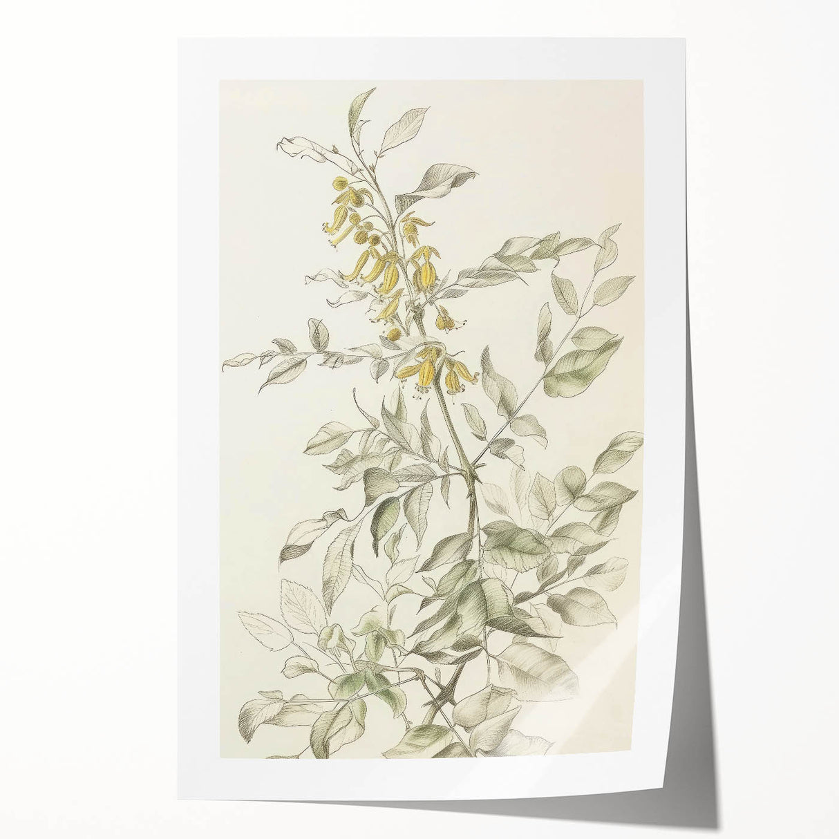 Vibrant abstract floral rolled print showcasing a blend of bold colors and intricate patterns, elegantly packaged in a protective cardboard tube for easy display.