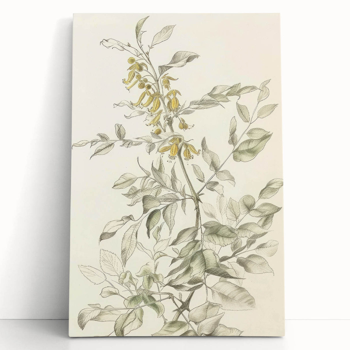 Abstract floral canvas art featuring vibrant colors and intricate designs, elegantly leaning against a neutral wall, perfect for modern home decor. Ideal for adding a splash of color and sophistication to any living space.
