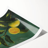 Extra large wall art featuring line art flowers in black on a white background, rolled print.