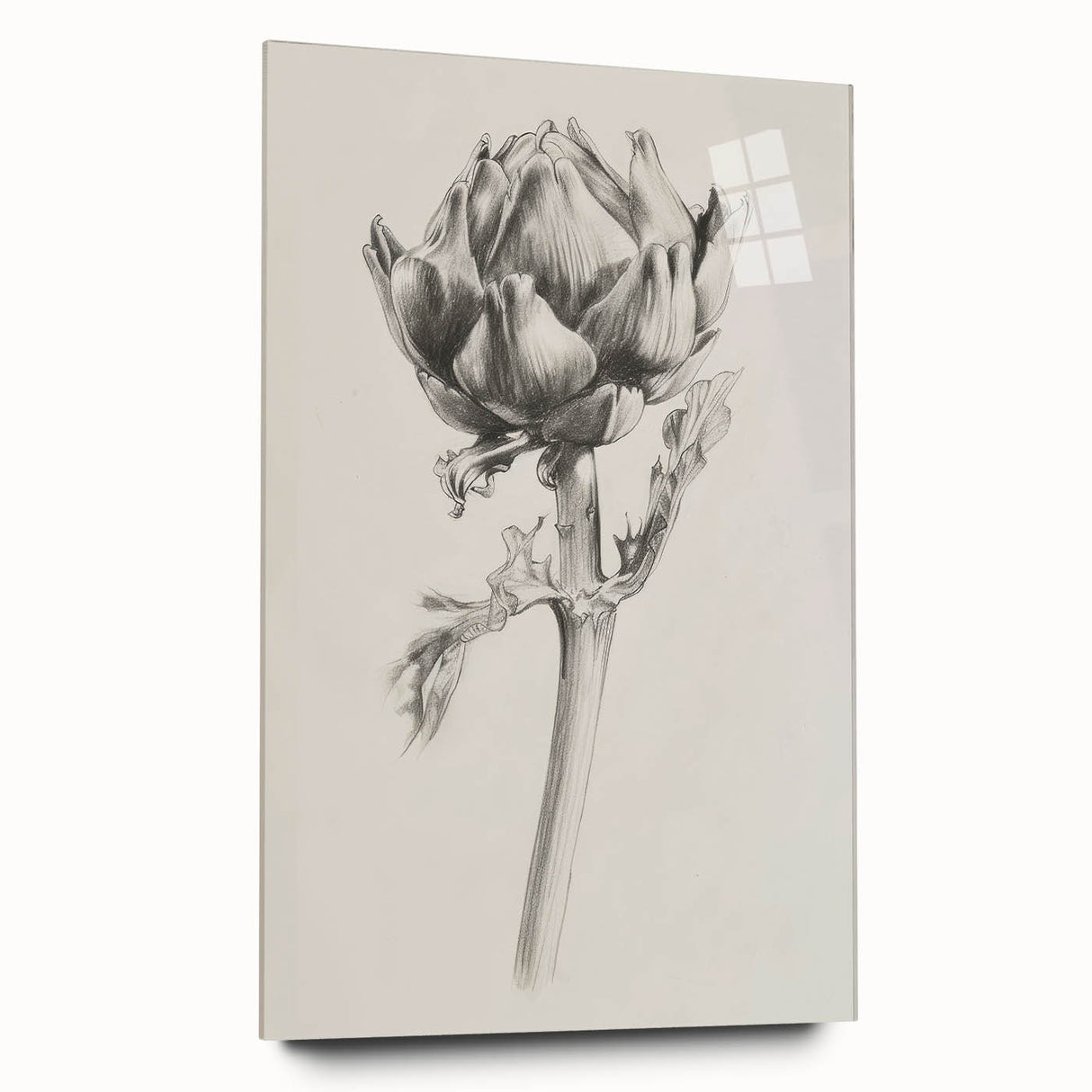 Abstract floral acrylic artwork displayed in a sleek glass frame, showcasing vibrant colors and intricate designs, ideal for modern home decor.