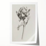 Vibrant abstract floral rolled canvas print showcasing an intricate design with bold colors on a textured surface, ideal for home decor and art enthusiasts.