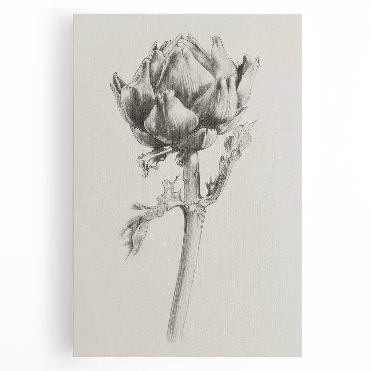 Abstract floral design stretched canvas artwork showcasing vibrant colors and intricate patterns, ideal for modern home decor and artistic ambiance.
