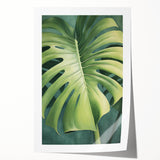 Rolled print showcasing a vibrant floral and botanical wall art design featuring colorful flowers and lush green leaves, perfect for home decor.