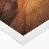 Desert landscape rolled canvas art showcasing vibrant warm tones and intricate details, elegantly packaged in a protective cardboard tube for art enthusiasts.