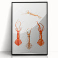Fine Art Realism Illustration - Whiplash Squid Deep-Sea Print Canvas