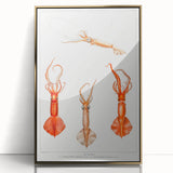 Fine Art Realism Illustration - Whiplash Squid Deep-Sea Print Canvas