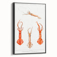 Fine Art Realism Illustration - Whiplash Squid Deep-Sea Print Canvas