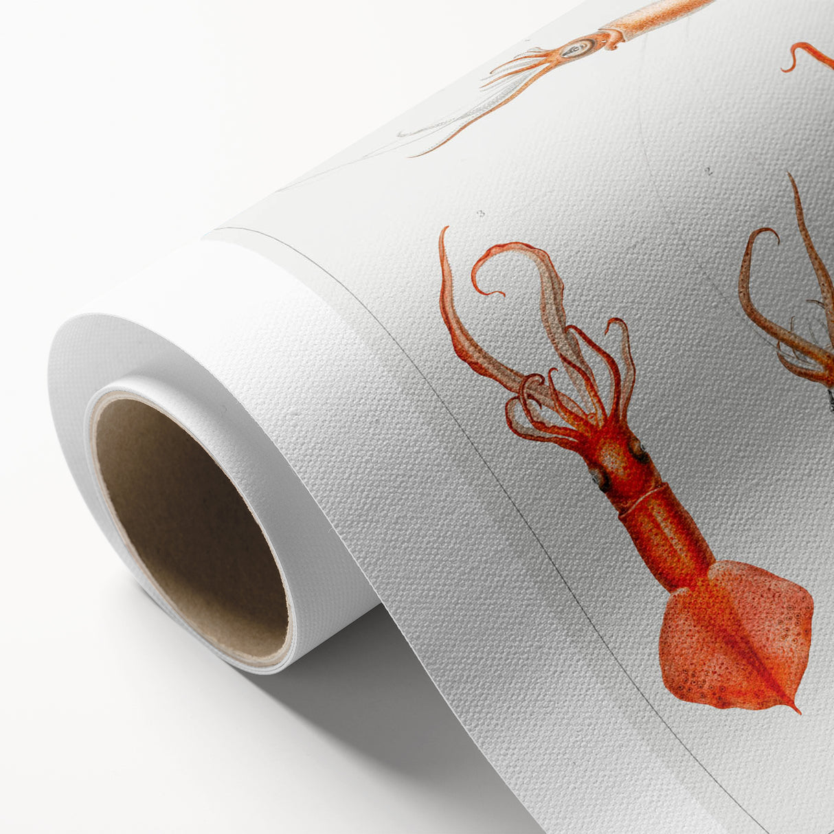 Fine Art Realism Illustration - Whiplash Squid Deep-Sea Print Canvas