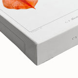 Fine Art Realism Illustration - Whiplash Squid Deep-Sea Print Canvas