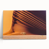 Black and white photograph of a Namibian landscape on a large stretched canvas, ideal for kitchen or bedroom wall art.