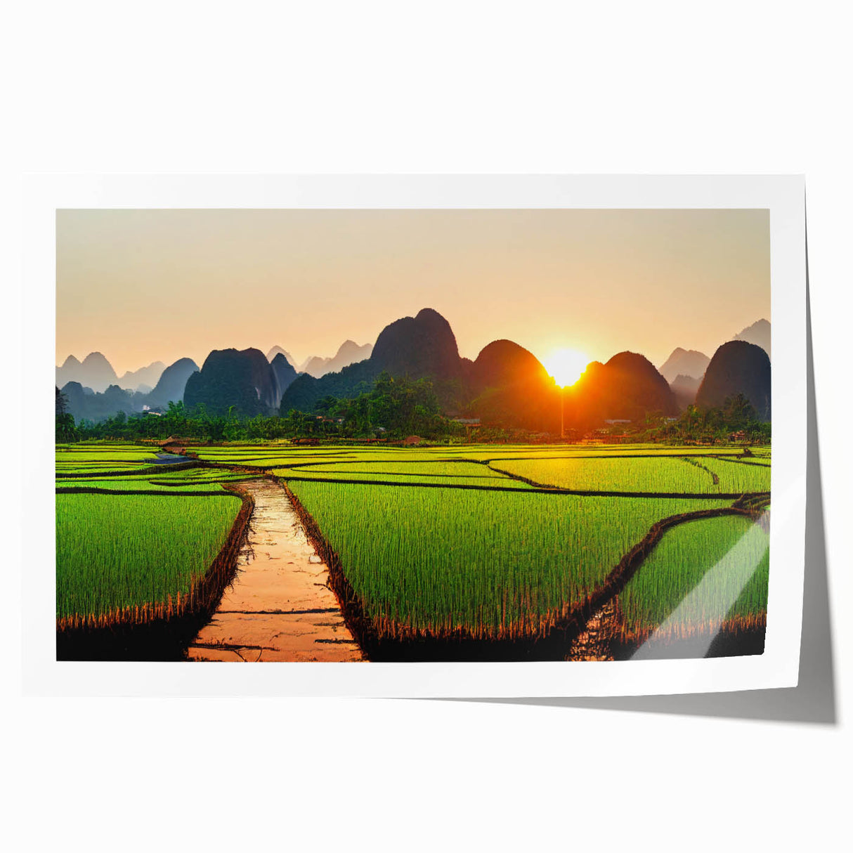 Extra large rolled print featuring a Laos scenery with lush floral elements in vibrant greens and blues.